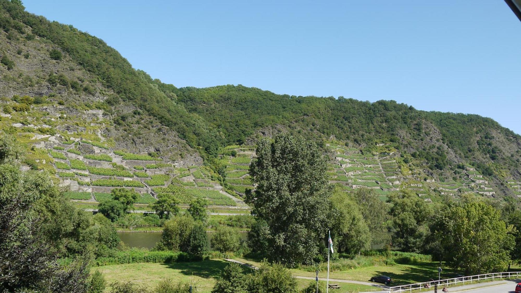 Hotel-Garni-Kachelburg Dieblich Esterno foto