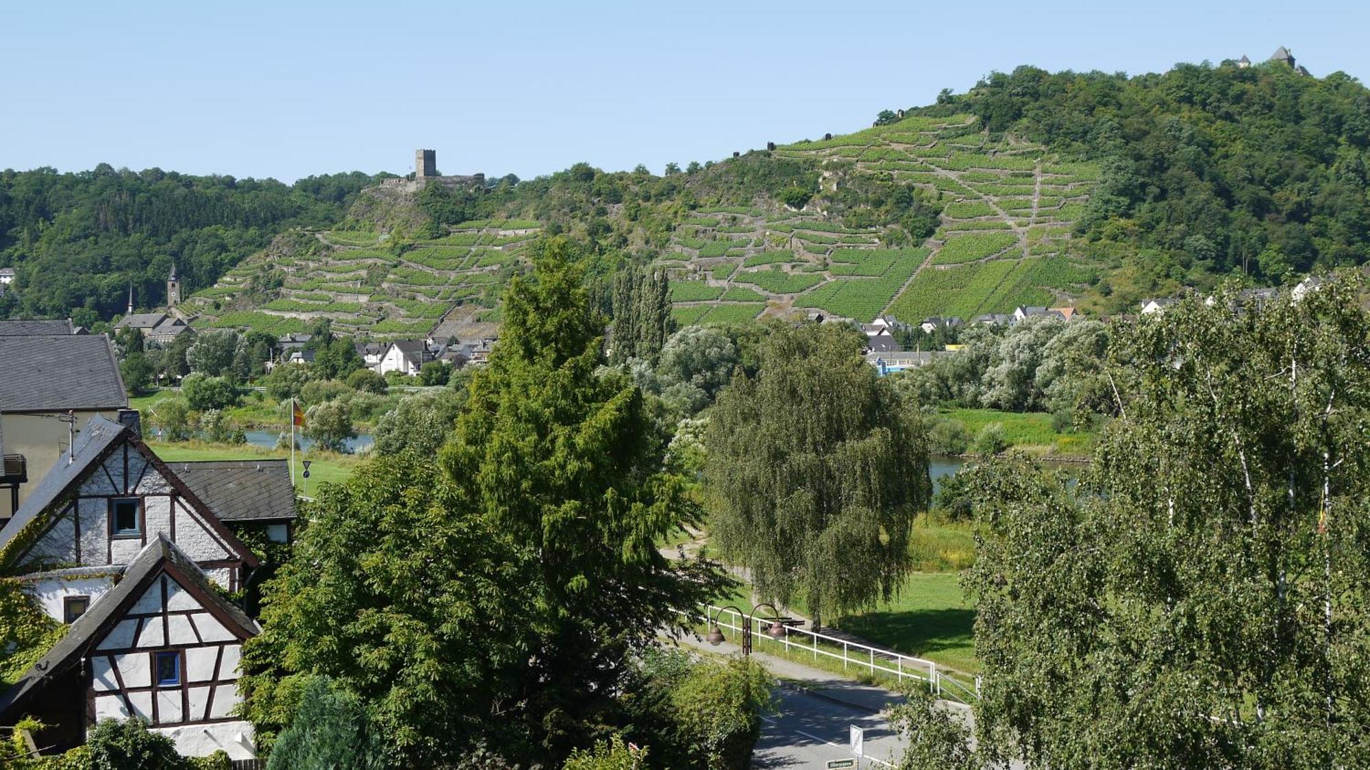 Hotel-Garni-Kachelburg Dieblich Esterno foto